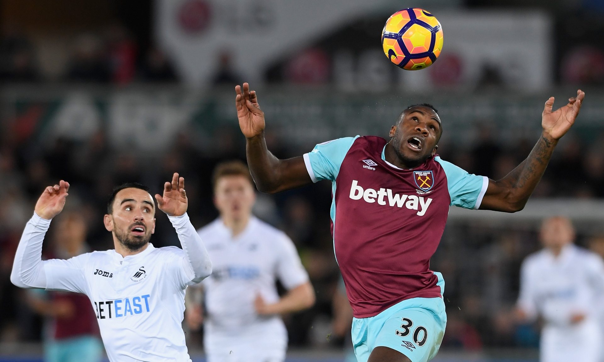 类似的家庭 类似的家庭