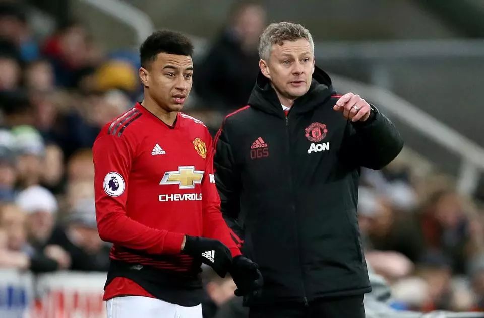 一种情感纽 一种情感纽